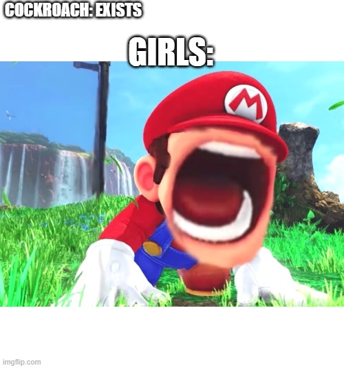Mario screaming | COCKROACH: EXISTS; GIRLS: | image tagged in mario screaming | made w/ Imgflip meme maker