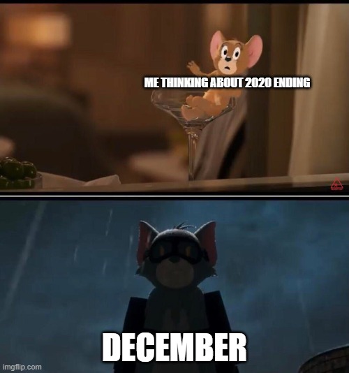 thing I made(u/Hxstile_YT on reddit for the template) | ME THINKING ABOUT 2020 ENDING; DECEMBER | image tagged in tom and jerry | made w/ Imgflip meme maker