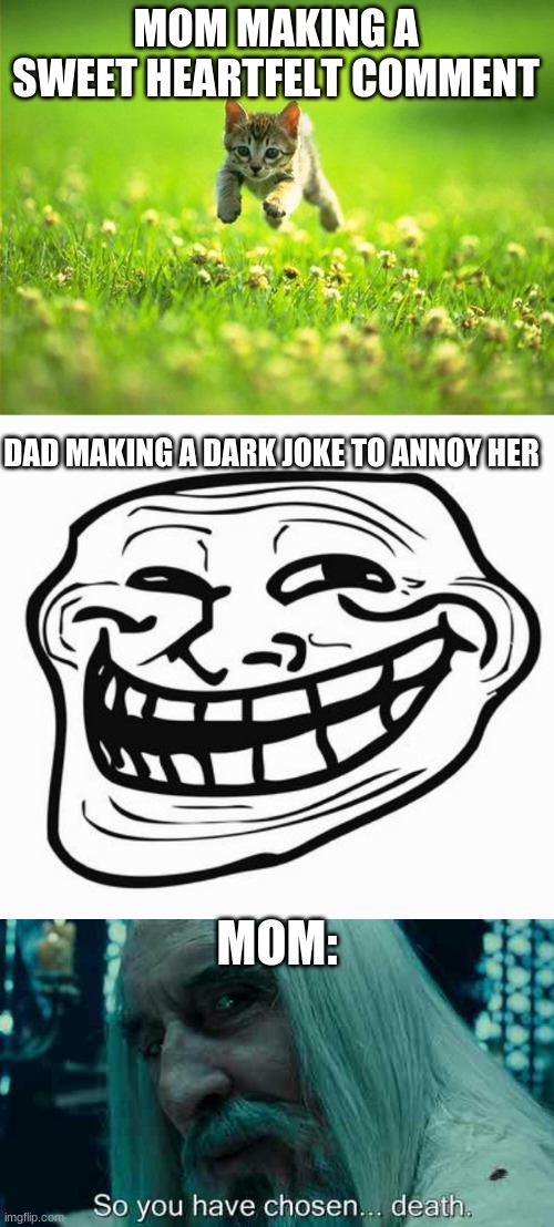 Why my mother rules us all | MOM MAKING A SWEET HEARTFELT COMMENT; DAD MAKING A DARK JOKE TO ANNOY HER; MOM: | image tagged in every time i smile god kills a kitten,trollface,so you have chosen death | made w/ Imgflip meme maker