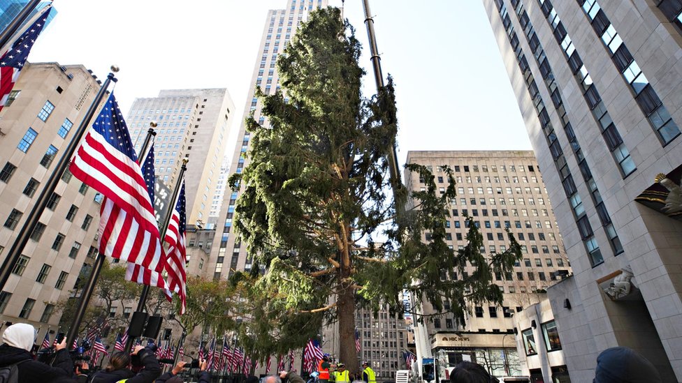 Rockefeller Christmas tree Blank Meme Template