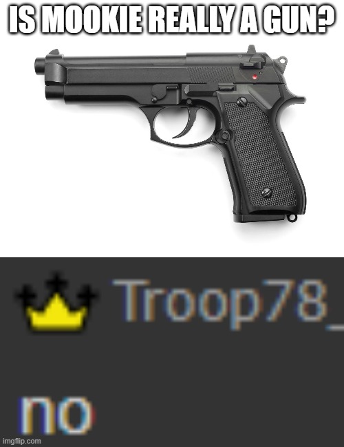 IS MOOKIE REALLY A GUN? | made w/ Imgflip meme maker