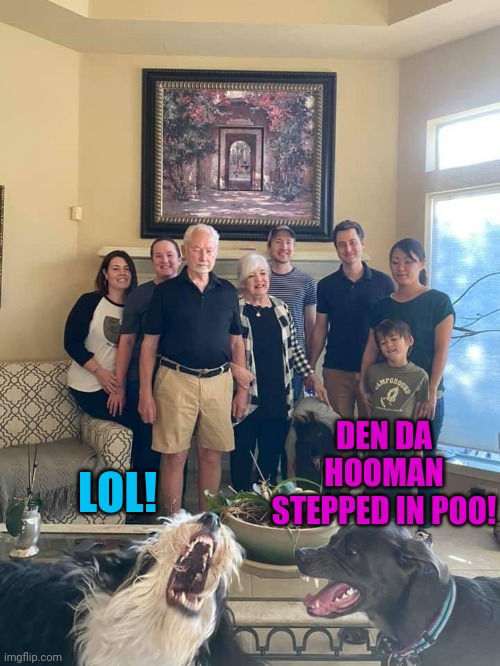 Family Photobombs Canine Moment | DEN DA HOOMAN STEPPED IN POO! LOL! | image tagged in dogs | made w/ Imgflip meme maker