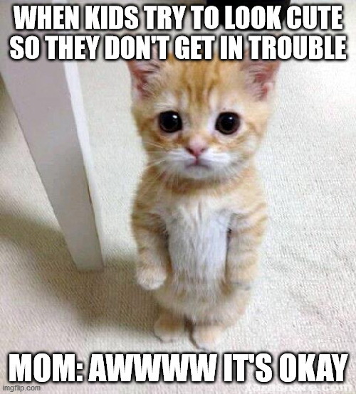 Cute Cat Meme | WHEN KIDS TRY TO LOOK CUTE SO THEY DON'T GET IN TROUBLE; MOM: AWWWW IT'S OKAY | image tagged in memes,cute cat | made w/ Imgflip meme maker
