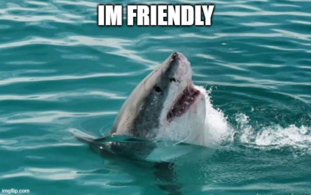Friendly Shark | IM FRIENDLY | image tagged in friendly shark | made w/ Imgflip meme maker