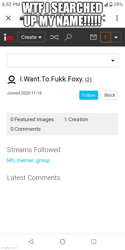 NO THIS IS WRONG | WTF I SEARCHED UP MY NAME!!!!! | image tagged in wtf | made w/ Imgflip meme maker