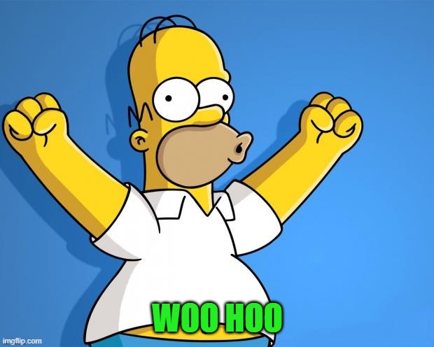 Woohoo Homer Simpson | WOO HOO | image tagged in woohoo homer simpson | made w/ Imgflip meme maker