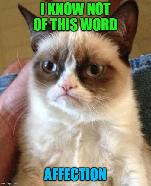 Grumpy Cat Meme | I KNOW NOT OF THIS WORD AFFECTION | image tagged in memes,grumpy cat | made w/ Imgflip meme maker
