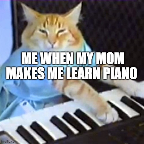 Keyboard cat | ME WHEN MY MOM MAKES ME LEARN PIANO | image tagged in keyboard cat | made w/ Imgflip meme maker