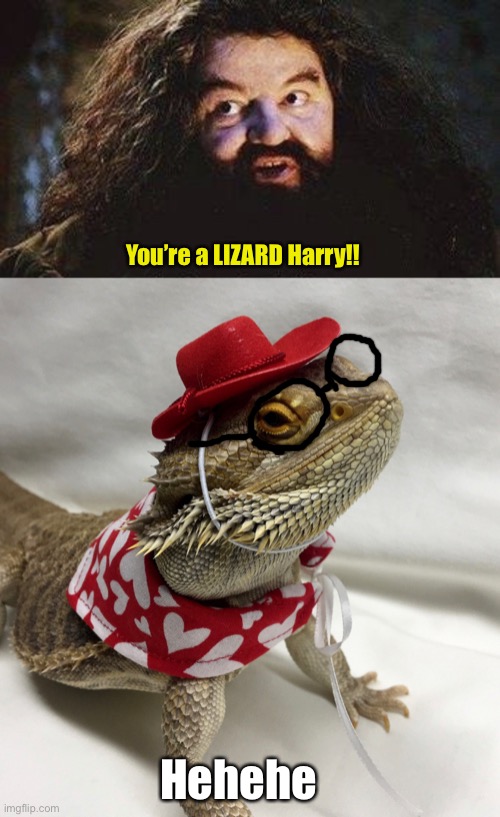 You’re a LIZARD Harry! | You’re a LIZARD Harry!! Hehehe | image tagged in you re a wizard harry,lizard,funny,memes | made w/ Imgflip meme maker