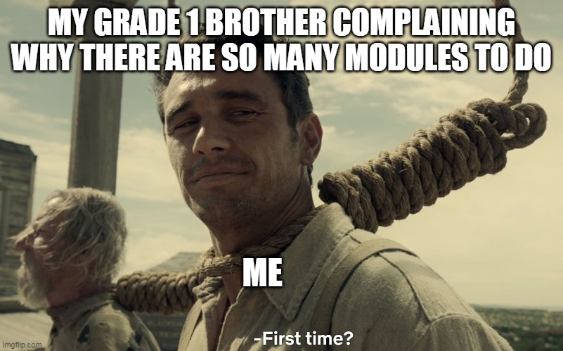 There are more modules to make and many braincells to waste | MY GRADE 1 BROTHER COMPLAINING WHY THERE ARE SO MANY MODULES TO DO; ME | image tagged in first time | made w/ Imgflip meme maker