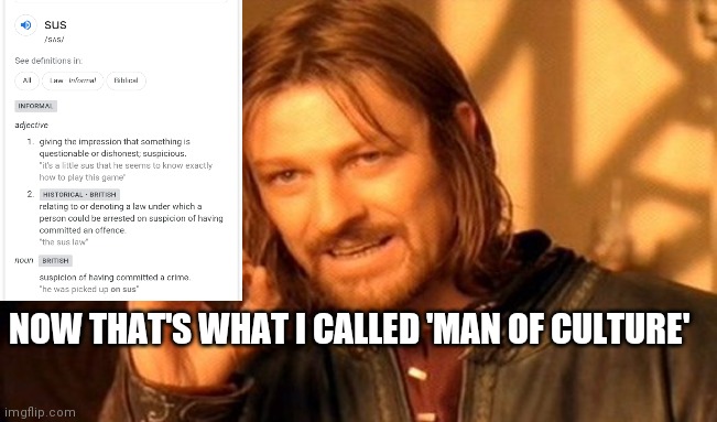 One Does Not Simply Meme | NOW THAT'S WHAT I CALLED 'MAN OF CULTURE' | image tagged in memes,one does not simply | made w/ Imgflip meme maker