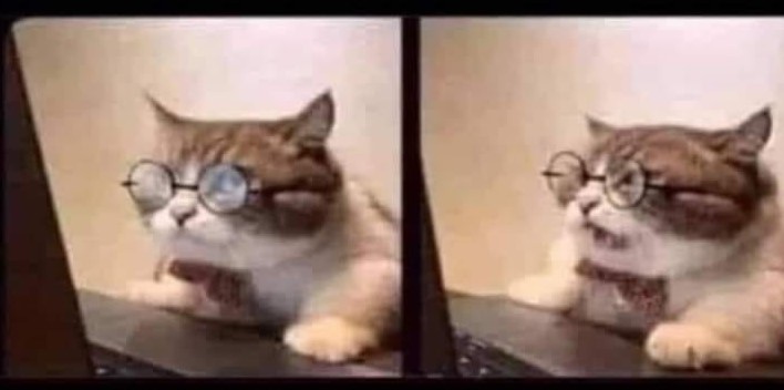 Cat Research Blank Meme Template