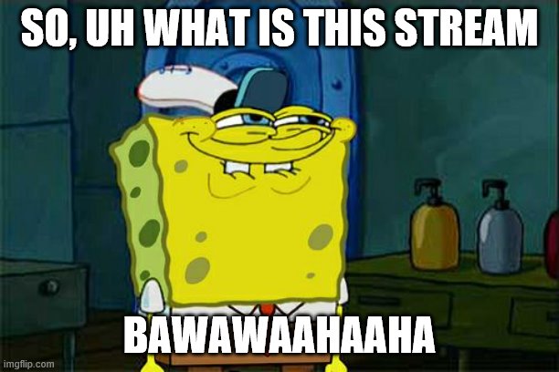 is it bubbletown or something? | SO, UH WHAT IS THIS STREAM; BAWAWAAHAAHA | image tagged in memes,don't you squidward | made w/ Imgflip meme maker