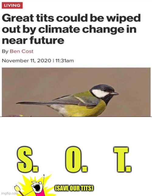 You know what you have to do. | S.     O.     T. (SAVE OUR TITS) | image tagged in x all the y,tits,memes,funny | made w/ Imgflip meme maker