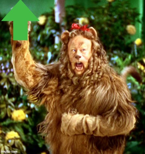 Cowardly Lion | image tagged in cowardly lion | made w/ Imgflip meme maker