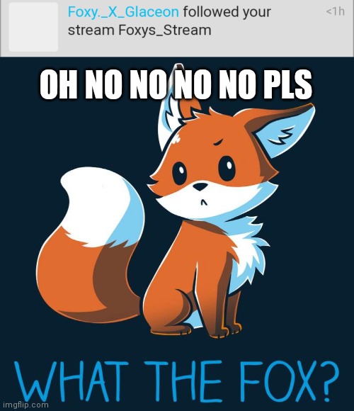 No no no this is wrong | OH NO NO NO NO PLS | image tagged in no,foxy,help | made w/ Imgflip meme maker