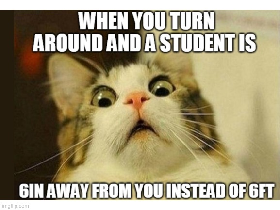 image tagged in surprised cat,covid-19,school | made w/ Imgflip meme maker