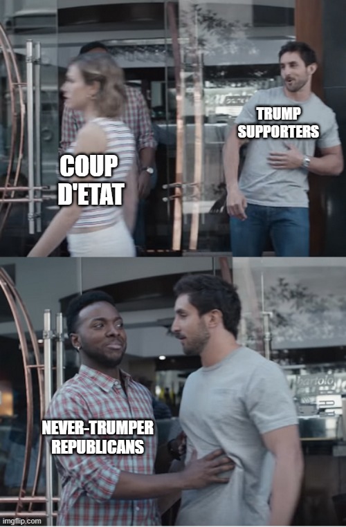 We are among you.We will stop you.Suck it up, snowflakes.We're armed too. | TRUMP SUPPORTERS; COUP 
D'ETAT; NEVER-TRUMPER
REPUBLICANS | image tagged in stop right there | made w/ Imgflip meme maker