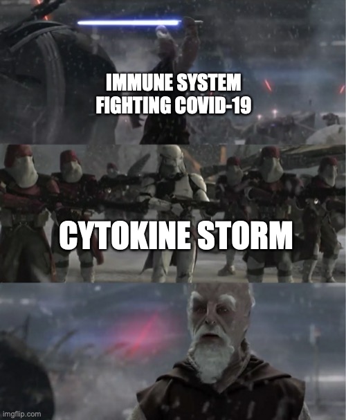 Execute Order Cytokine Storm | IMMUNE SYSTEM FIGHTING COVID-19; CYTOKINE STORM | image tagged in ki-adi-mundi order 66 | made w/ Imgflip meme maker