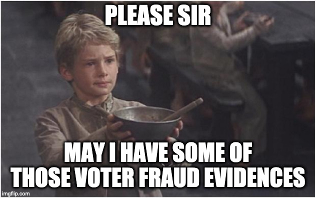 Oliver Twist Please Sir | PLEASE SIR; MAY I HAVE SOME OF THOSE VOTER FRAUD EVIDENCES | image tagged in oliver twist please sir | made w/ Imgflip meme maker