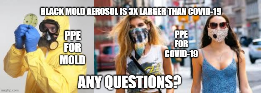 Covid | BLACK MOLD AEROSOL IS 3X LARGER THAN COVID-19; PPE FOR MOLD; PPE FOR COVID-19; ANY QUESTIONS? | image tagged in ppe,covid,mold,cdc,pandemic | made w/ Imgflip meme maker