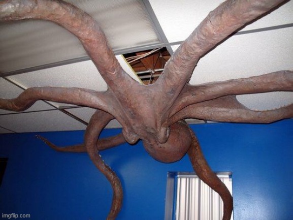 Scary Octopus | image tagged in scary octopus | made w/ Imgflip meme maker