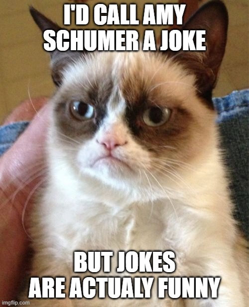 Grumpy Cat | I'D CALL AMY SCHUMER A JOKE; BUT JOKES ARE ACTUALY FUNNY | image tagged in memes,grumpy cat | made w/ Imgflip meme maker