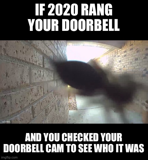2020 rings the doorbell | IF 2020 RANG YOUR DOORBELL; AND YOU CHECKED YOUR DOORBELL CAM TO SEE WHO IT WAS | image tagged in 2020 | made w/ Imgflip meme maker