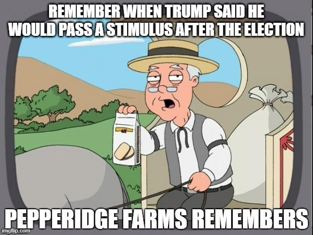 Uh oh | REMEMBER WHEN TRUMP SAID HE WOULD PASS A STIMULUS AFTER THE ELECTION | image tagged in pepperidge farms remembers | made w/ Imgflip meme maker