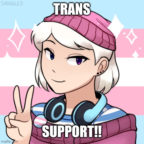I MADE LGBTQ PEOPLE  IF YOU WANNA MAKE UR OWN, LINK IN COMMENTS | TRANS; SUPPORT!! | image tagged in transgender,lgbtq,support | made w/ Imgflip meme maker