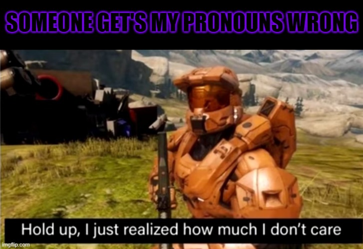 Hold up, I just realized how much i don't care | SOMEONE GET'S MY PRONOUNS WRONG | image tagged in hold up i just realized how much i don't care | made w/ Imgflip meme maker