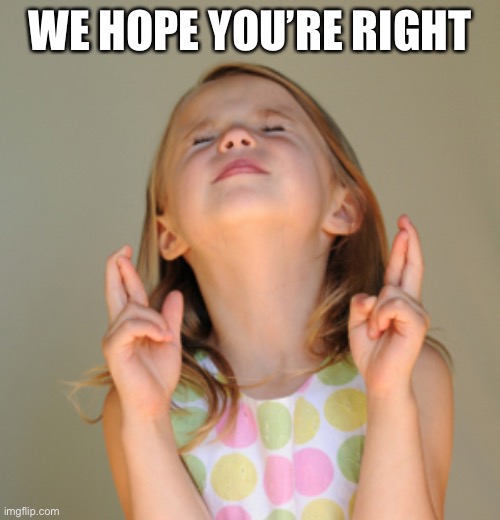 Hope So | WE HOPE YOU’RE RIGHT | image tagged in hope so | made w/ Imgflip meme maker