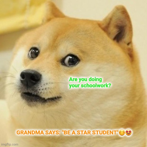 Doge Meme | Are you doing your schoolwork? GRANDMA SAYS: "BE A STAR STUDENT"😊🤩 | image tagged in memes,doge | made w/ Imgflip meme maker
