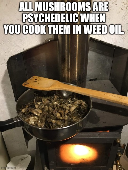 Mushrooms | ALL MUSHROOMS ARE PSYCHEDELIC WHEN YOU COOK THEM IN WEED OIL. | image tagged in mushrooms | made w/ Imgflip meme maker
