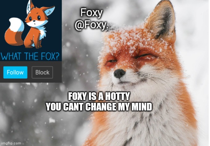 Mmhhhmmmm | FOXY IS A HOTTY
YOU CANT CHANGE MY MIND | image tagged in foxy's announcement template | made w/ Imgflip meme maker