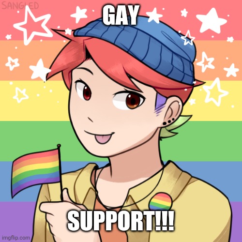 GAY SUPPORT FOR ALL!!!! | GAY; SUPPORT!!! | image tagged in gay,gay pride,lgbtq,lgbt | made w/ Imgflip meme maker