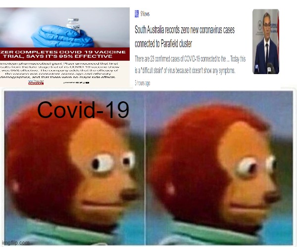 Monkey Puppet Meme | Covid-19 | image tagged in memes,monkey puppet | made w/ Imgflip meme maker