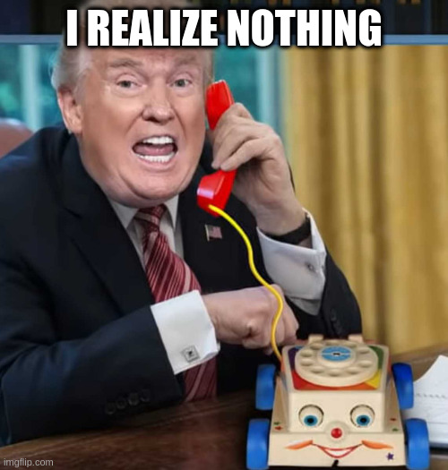 I'm the president | I REALIZE NOTHING | image tagged in i'm the president | made w/ Imgflip meme maker