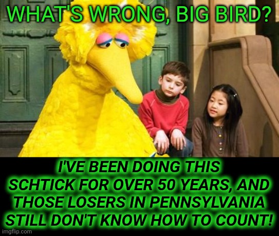 electoral college dropouts | WHAT'S WRONG, BIG BIRD? I'VE BEEN DOING THIS SCHTICK FOR OVER 50 YEARS, AND THOSE LOSERS IN PENNSYLVANIA STILL DON'T KNOW HOW TO COUNT! | image tagged in sad big bird,2020 elections | made w/ Imgflip meme maker