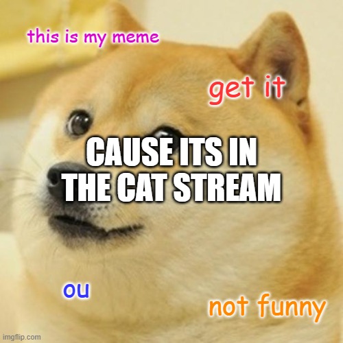Doge | this is my meme; get it; CAUSE ITS IN THE CAT STREAM; ou; not funny | image tagged in memes,doge,cats,funny cats,cat,cute cat | made w/ Imgflip meme maker