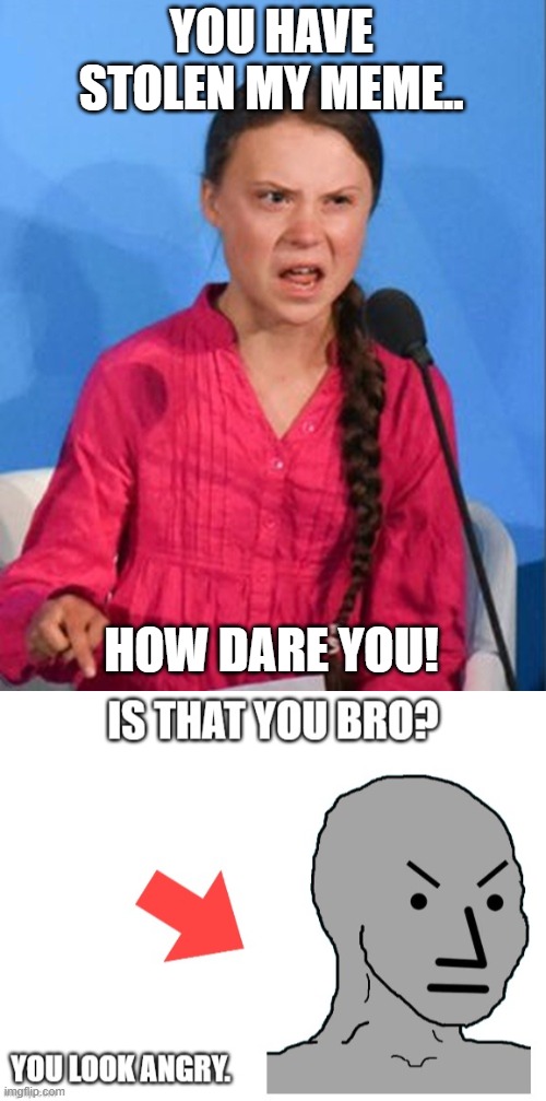 YOU HAVE STOLEN MY MEME.. HOW DARE YOU! | image tagged in greta thunberg how dare you | made w/ Imgflip meme maker