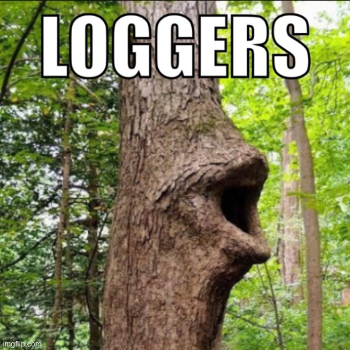 log pog | image tagged in pog | made w/ Imgflip meme maker