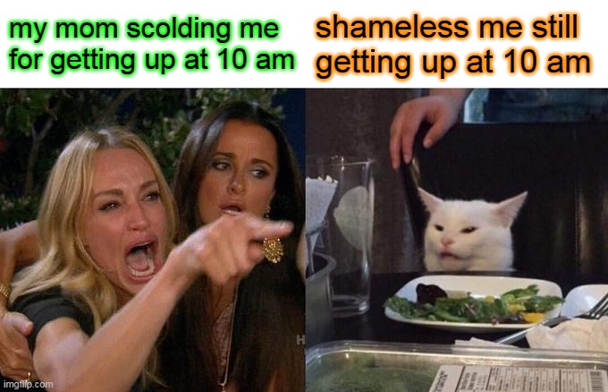 Woman Yelling At Cat | my mom scolding me for getting up at 10 am; shameless me still getting up at 10 am | image tagged in memes,woman yelling at cat | made w/ Imgflip meme maker