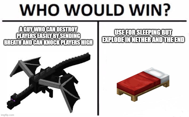 Enderdragon Vs Beds | A GUY WHO CAN DESTROY PLAYERS EASILY BY SENDING BREATH AND CAN KNOCK PLAYERS HIGH; USE FOR SLEEPING BUT EXPLODE IN NETHER AND THE END | image tagged in memes,who would win,minecraft,bed | made w/ Imgflip meme maker