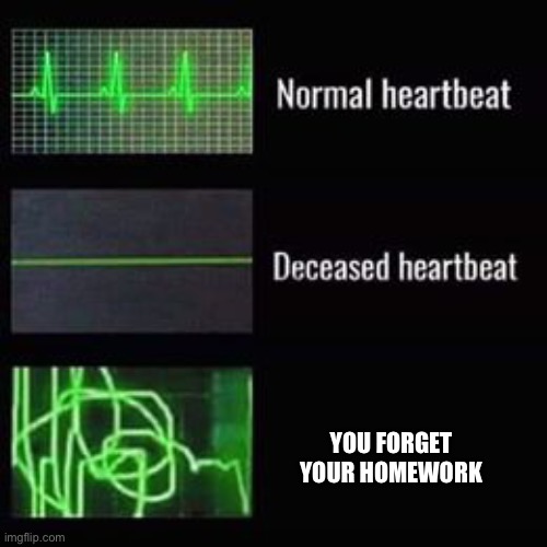 heartbeat rate | YOU FORGET YOUR HOMEWORK | image tagged in heartbeat rate | made w/ Imgflip meme maker