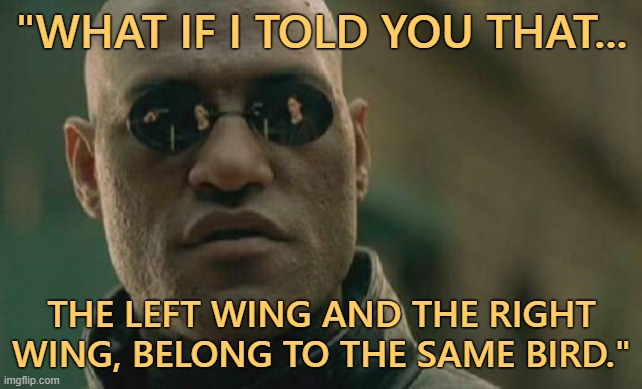 Matrix Morpheus: What If I Told You That The Left Wing And The Right Wing Belong To The Same Bird | "WHAT IF I TOLD YOU THAT... THE LEFT WING AND THE RIGHT WING, BELONG TO THE SAME BIRD." | image tagged in memes,matrix morpheus,what if i told you that,the left wing and the right wing belong to the same bird | made w/ Imgflip meme maker