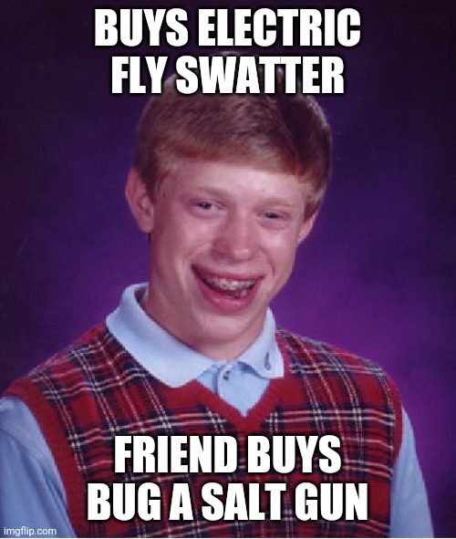 Bug Assault | BUYS ELECTRIC FLY SWATTER; FRIEND BUYS BUG A SALT GUN | image tagged in memes,bad luck brian | made w/ Imgflip meme maker