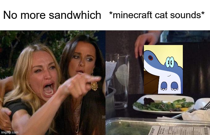 Woman yelling at Grup | No more sandwhich; *minecraft cat sounds* | image tagged in memes,woman yelling at cat | made w/ Imgflip meme maker