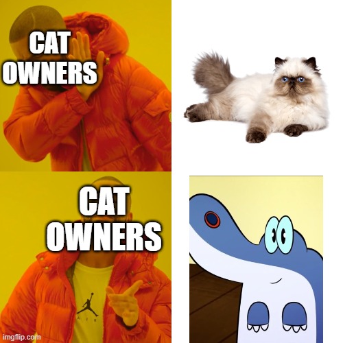 Adopting a pet cat/dragon... | CAT OWNERS; CAT OWNERS | image tagged in memes,drake hotline bling,cats,dragons,pets | made w/ Imgflip meme maker