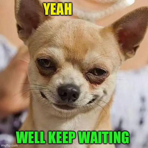 Smirking Dog | YEAH WELL KEEP WAITING | image tagged in smirking dog | made w/ Imgflip meme maker